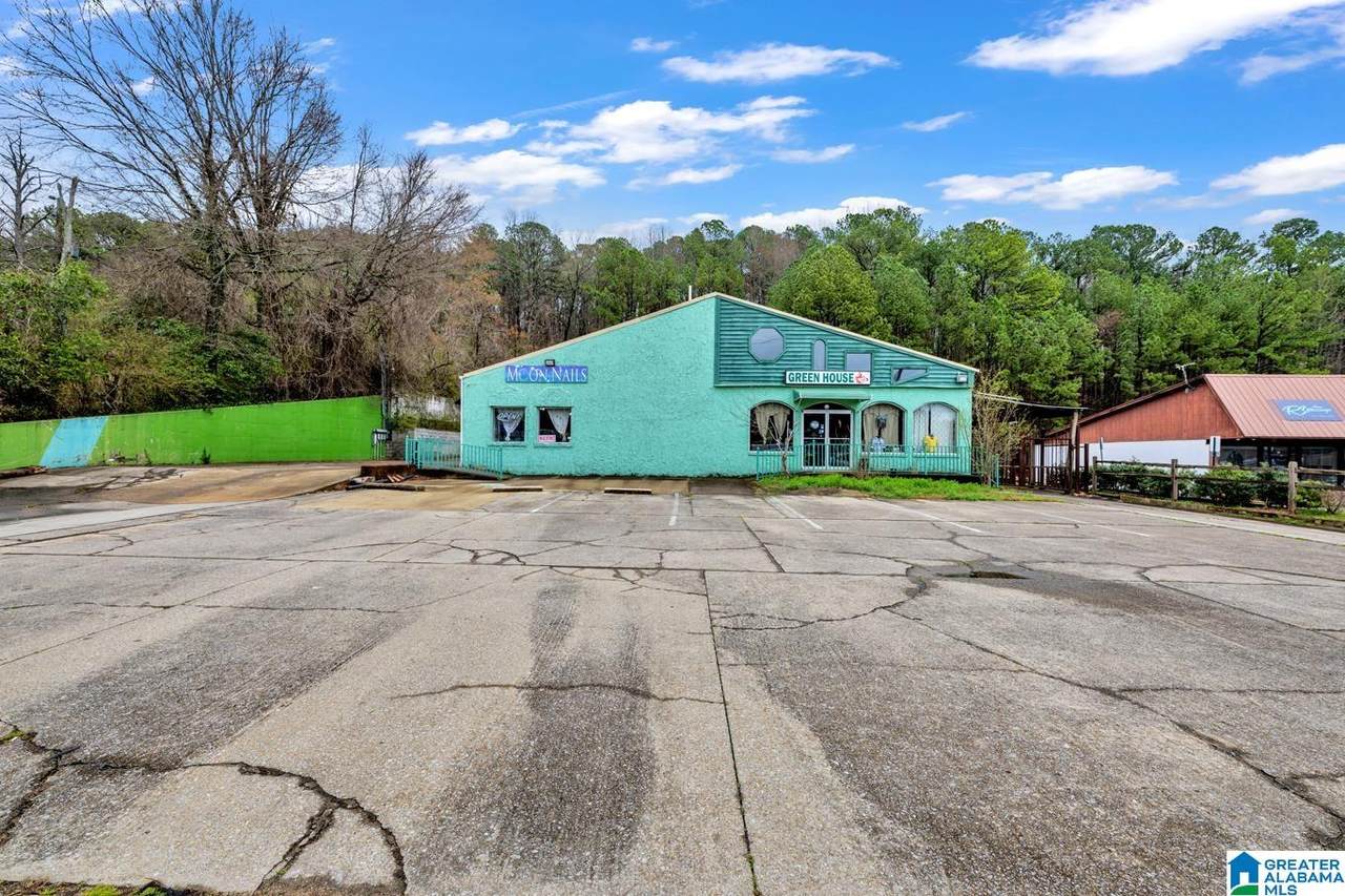 2449 Old Springville Road - Photo 1
