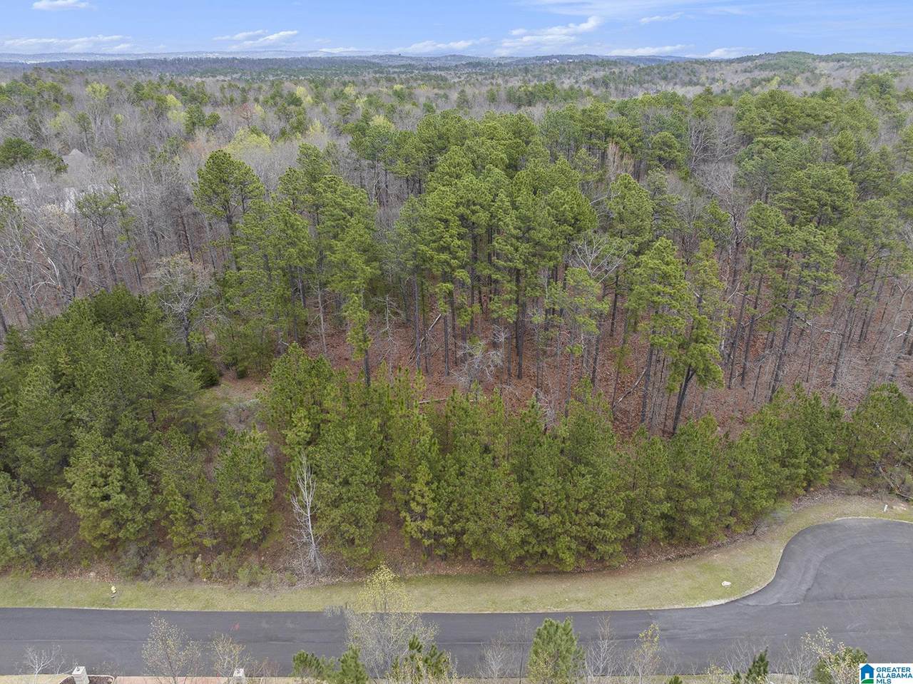 324 Oak Mountain Crest Way - Photo 1