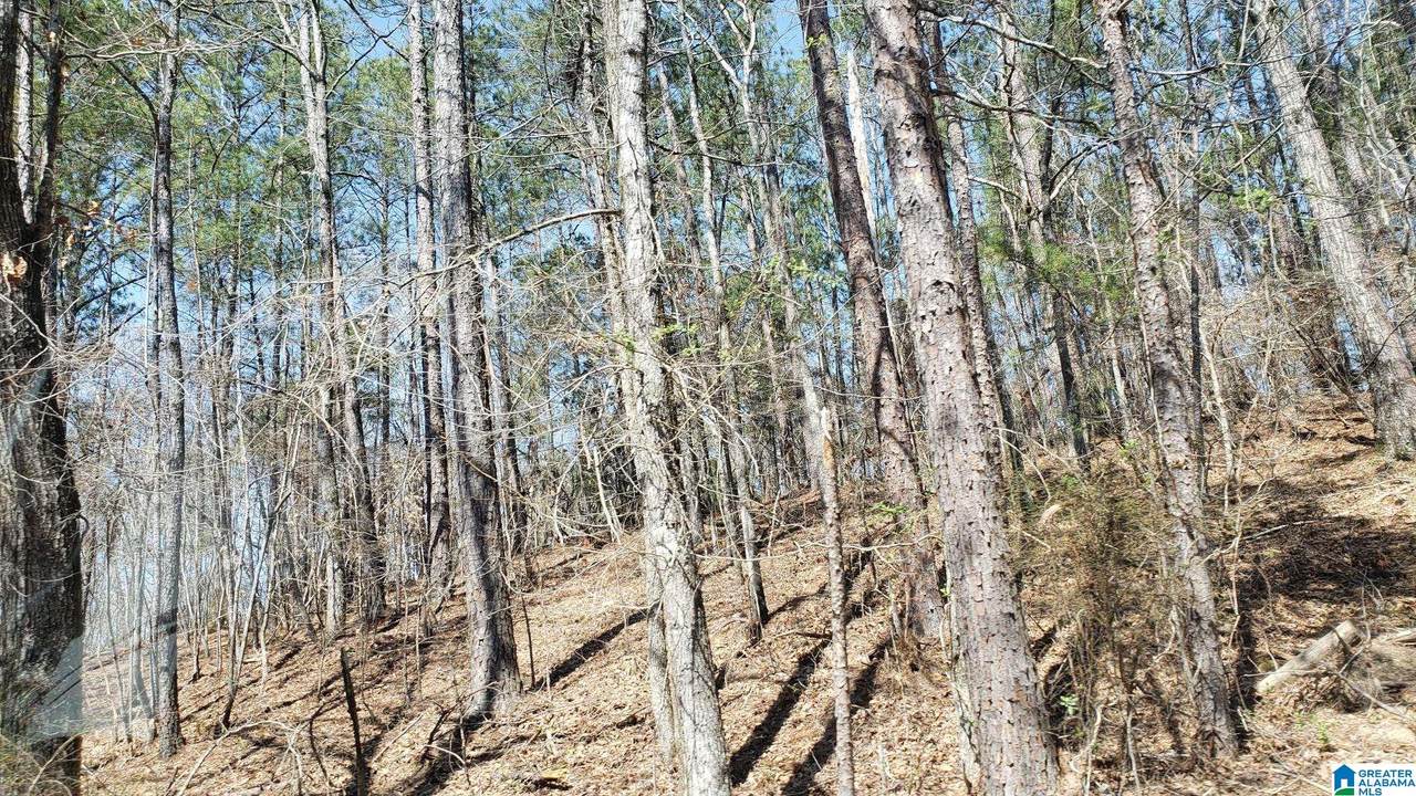  County Road 520 - Photo 1