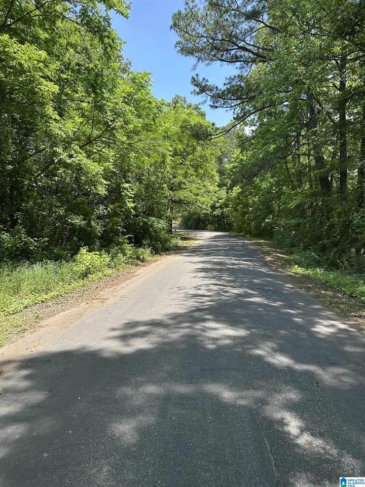 2716 Mary Taylor Road - Photo 1