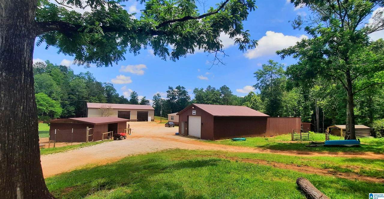 2970 County Road 82 - Photo 1