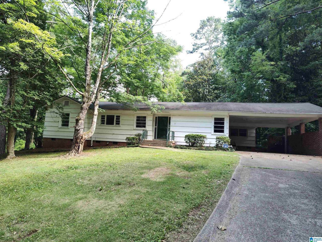 204 Primrose Path - Photo 1