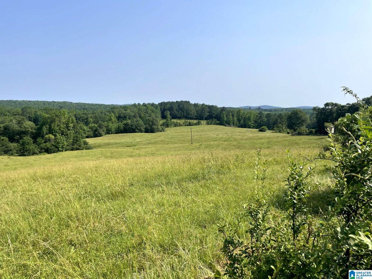 1500 Shiloh Church Road - Photo 1