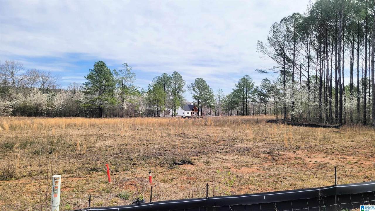 1023 Chancellors Ferry Loop - Photo 1