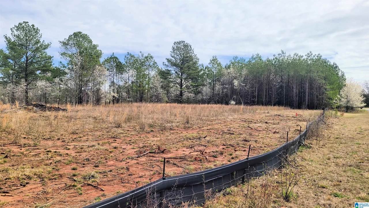 1031 Chancellors Ferry Loop - Photo 1