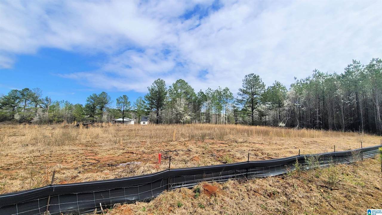 1035 Chancellors Ferry Loop - Photo 1