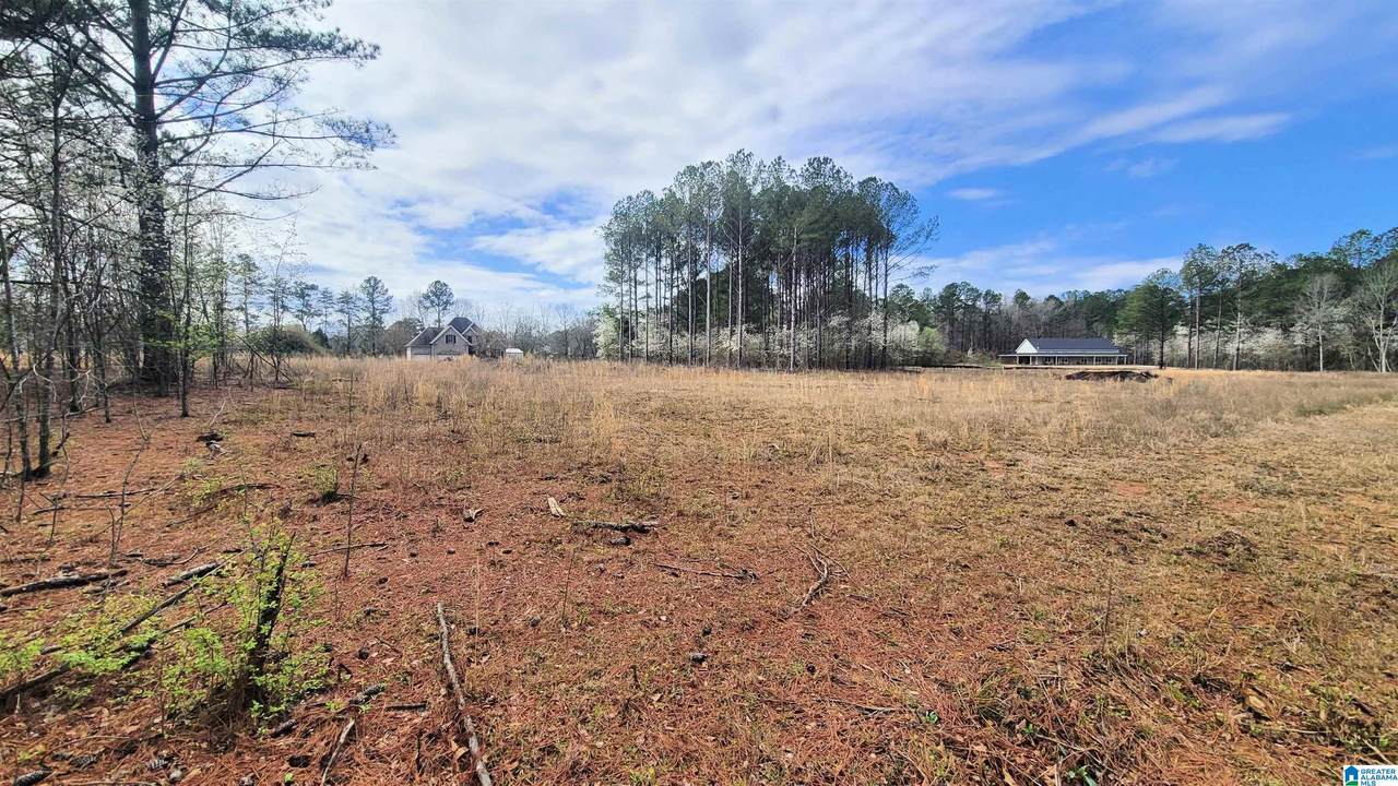 1077 Chancellors Ferry Loop - Photo 1