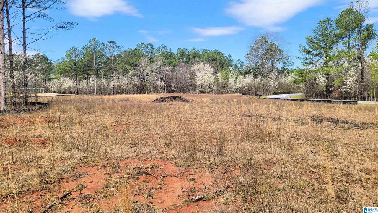 1085 Chancellors Ferry Loop - Photo 1