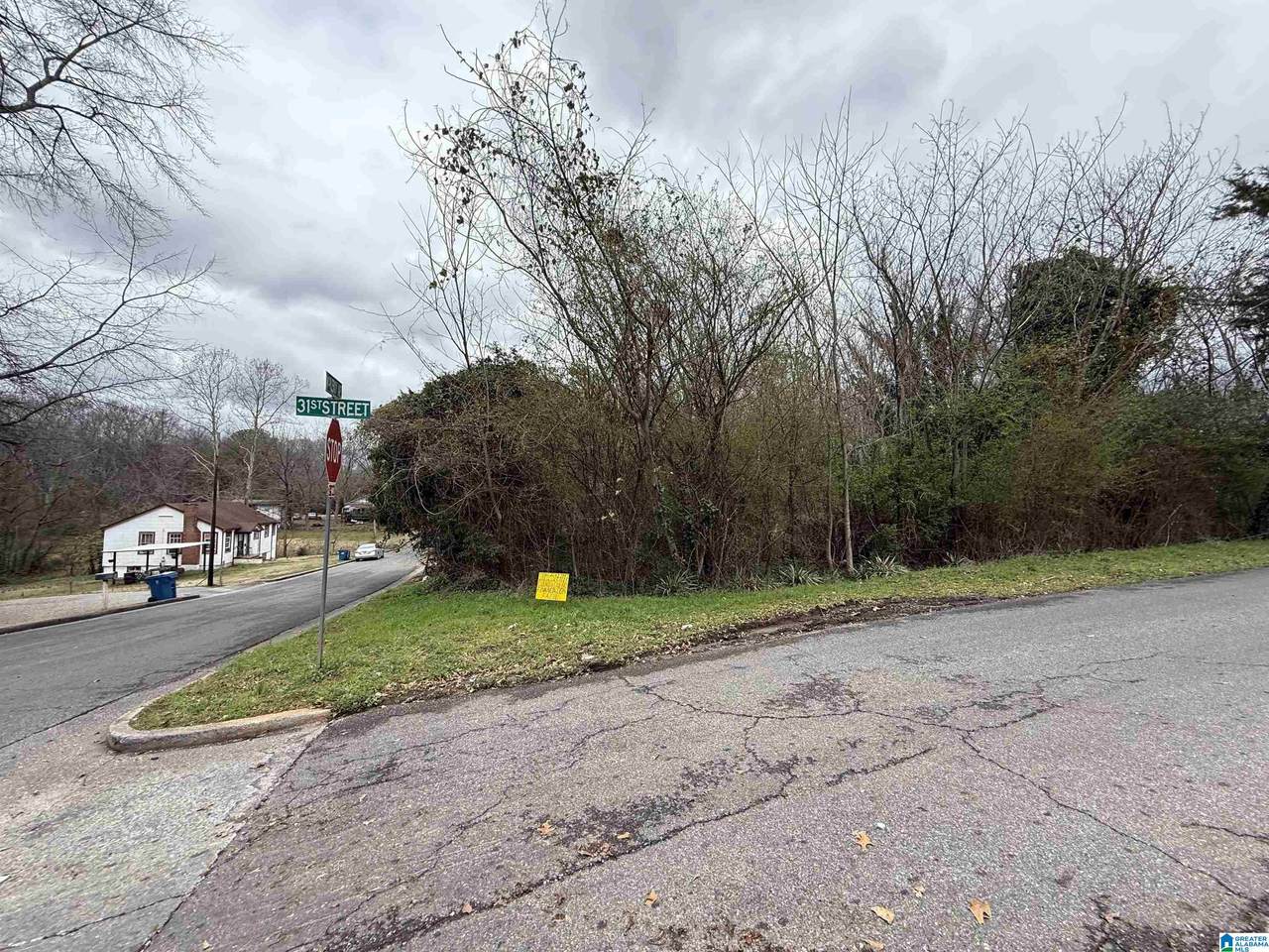 3101 Mckleroy Avenue - Photo 1