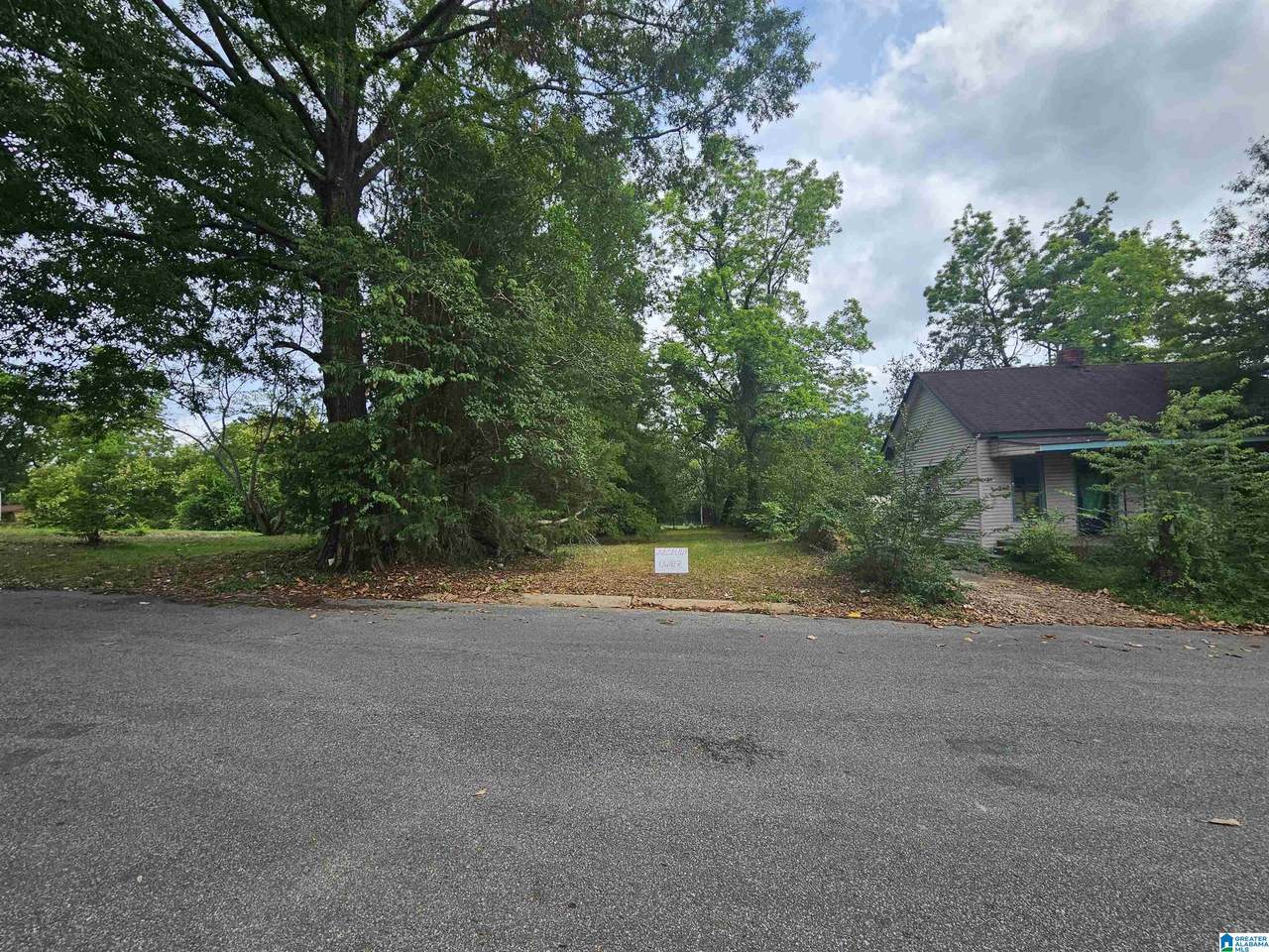 505 Elm Street - Photo 1