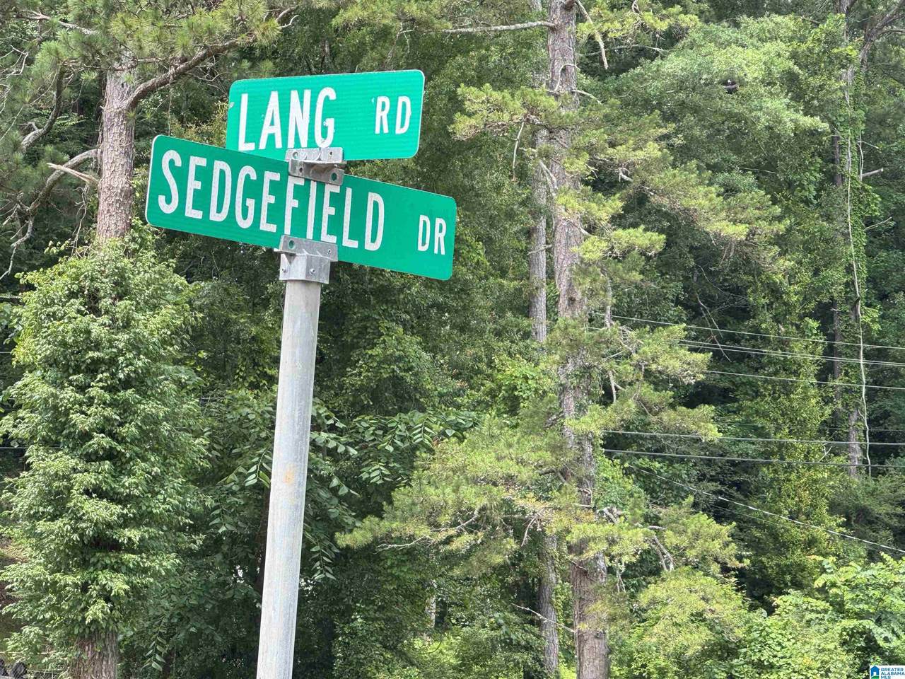 1005 Sedgefield Drive - Photo 1