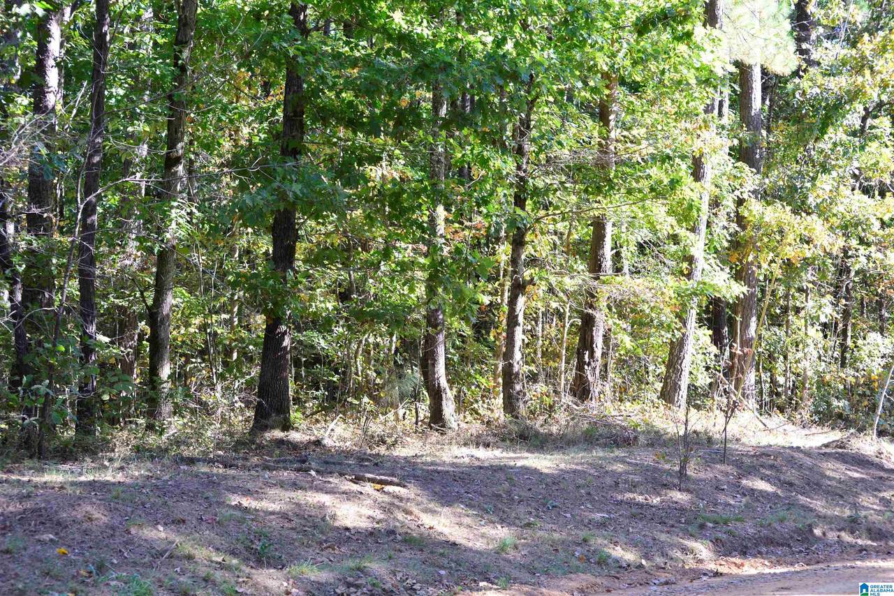 lot 24 Gladys Drive - Photo 1