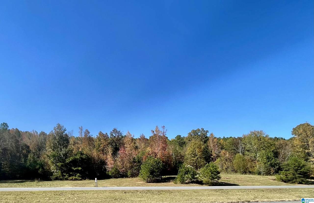 Lot #3 Highway 75 - Photo 1