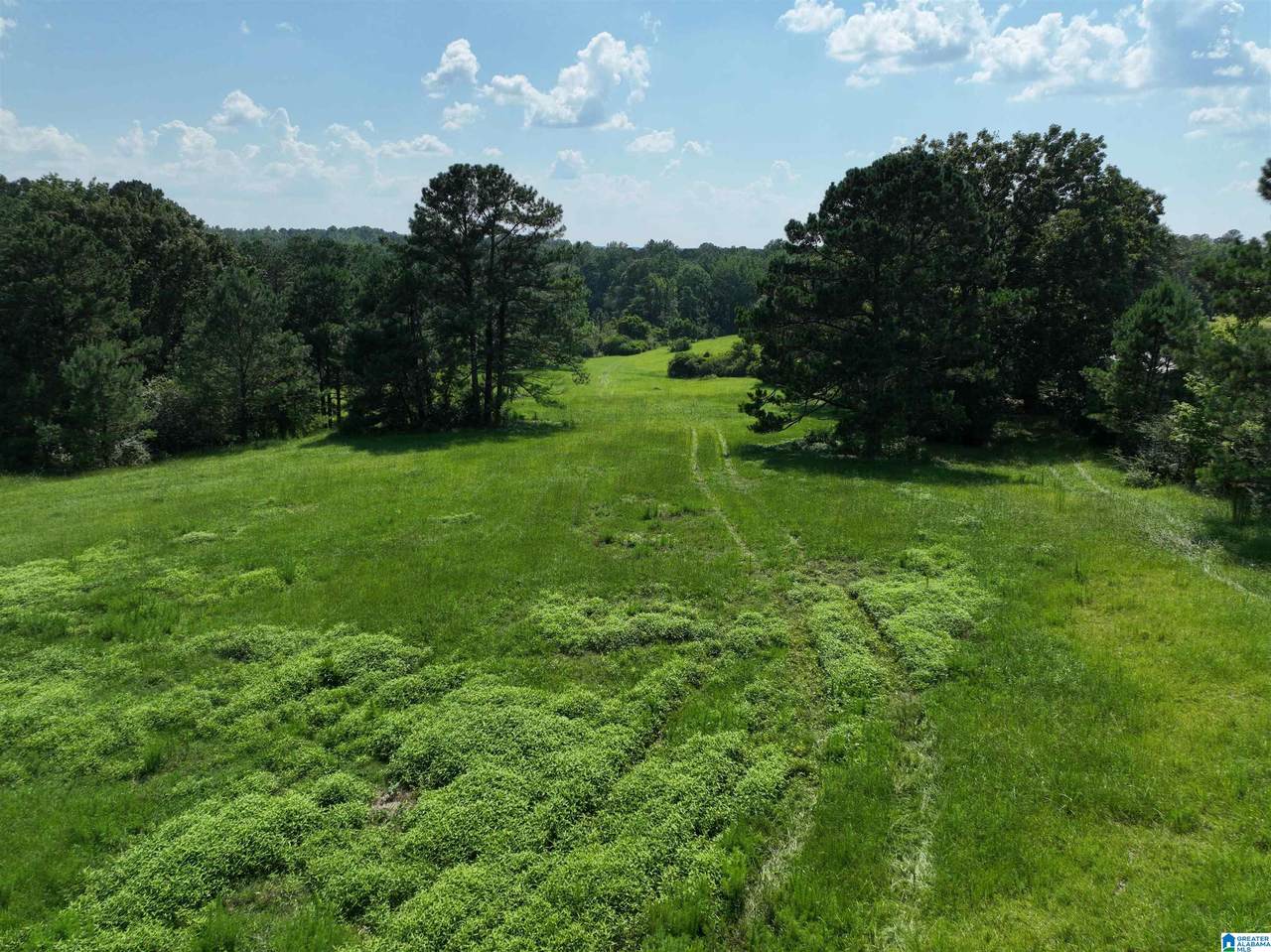 0 County Road 295 - Photo 1