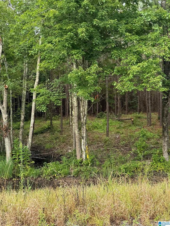 0 Concord Church Road - Photo 1