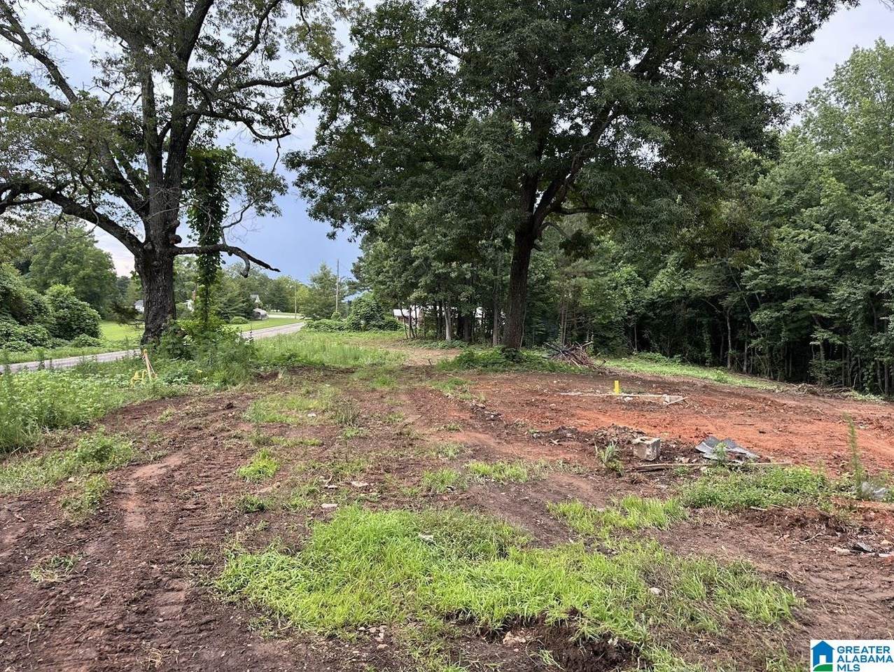 3182 County Road 61 - Photo 1