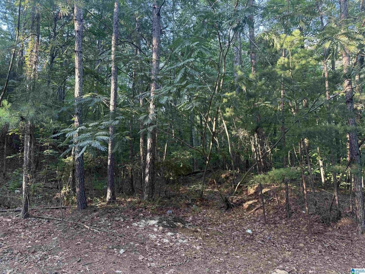 5145 Woodland Drive - Photo 1