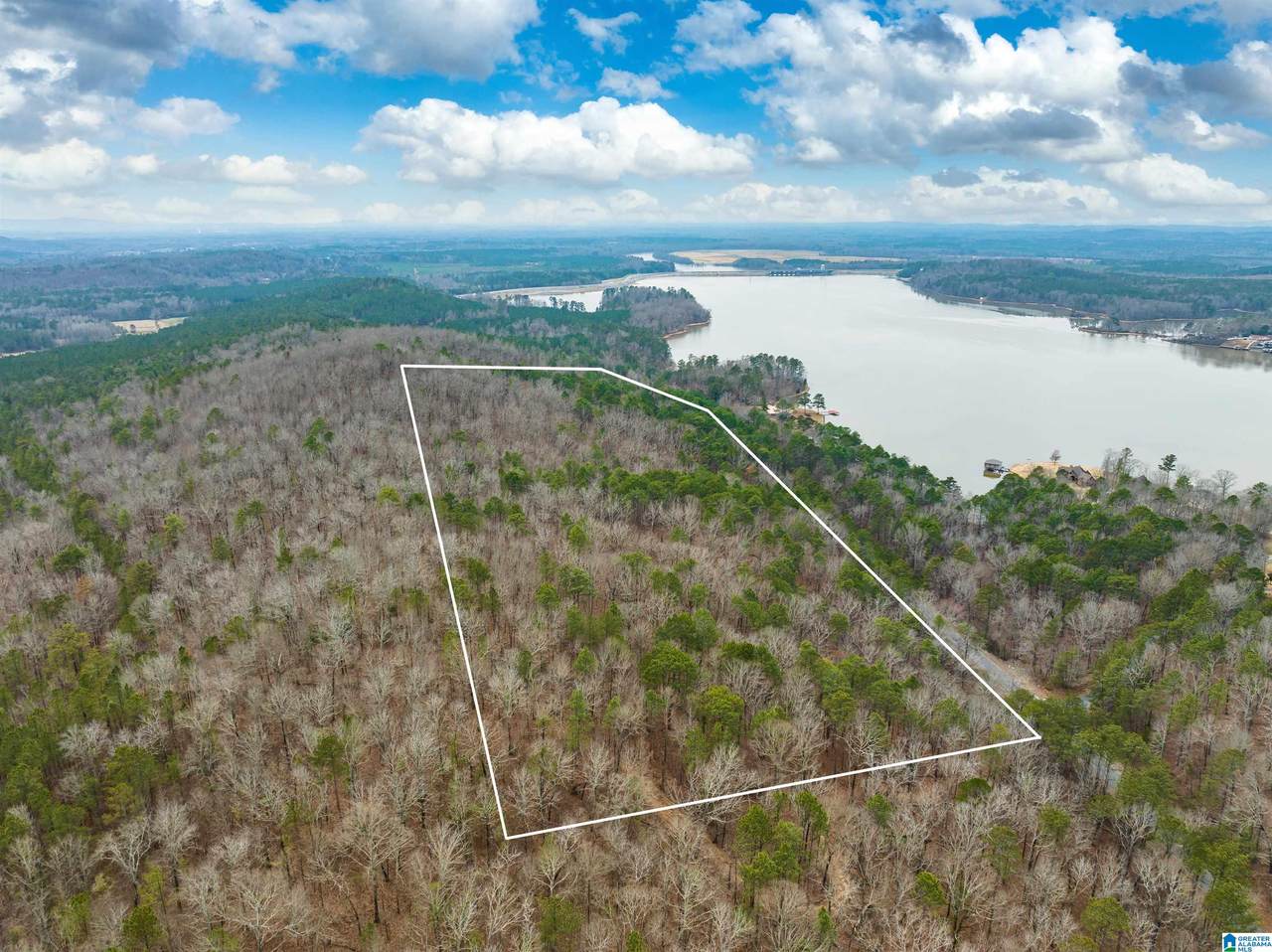 34 Acres- Mtn Constellation Drive - Photo 1