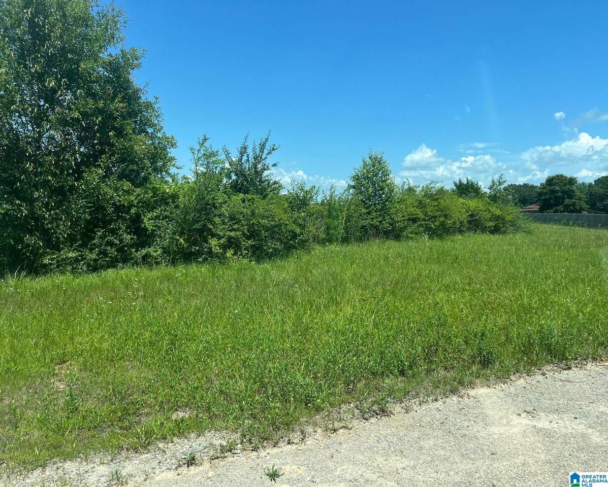  Plum Creek Drive - Photo 1