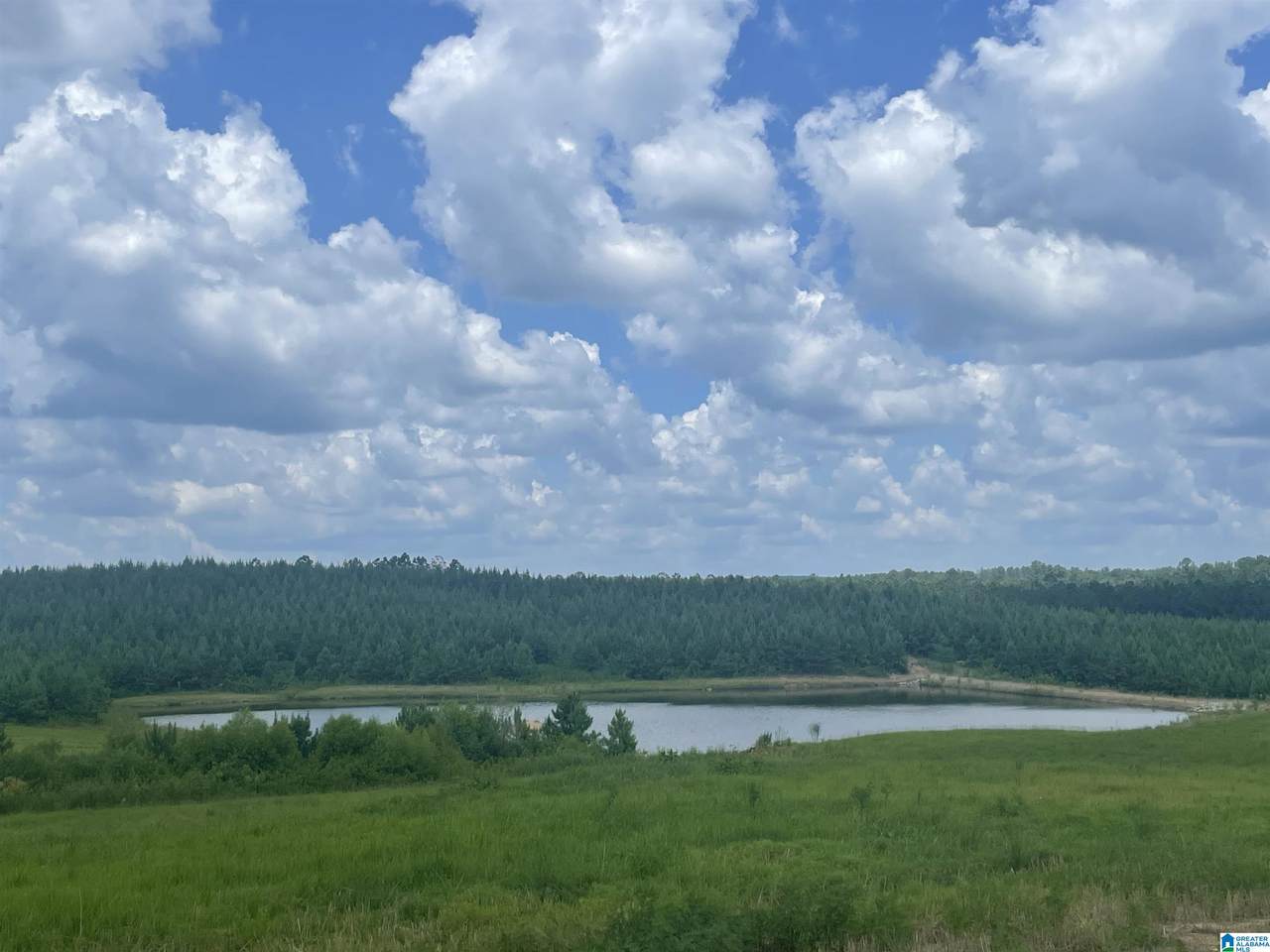 3679 Chelsea Road - Photo 1