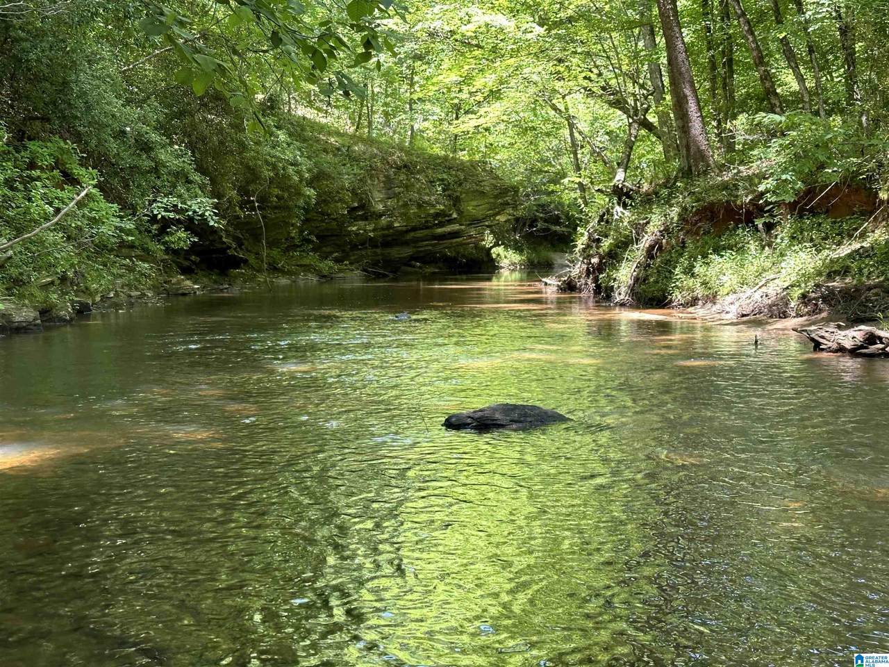 1165 County Road 874 - Photo 1