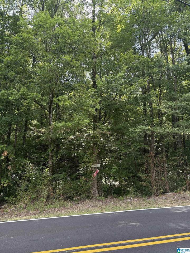 4515 Shady Grove Lane - Photo 1