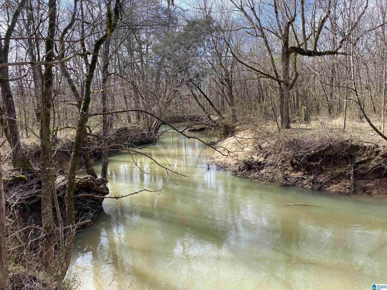 0 Highway 231 - Photo 1