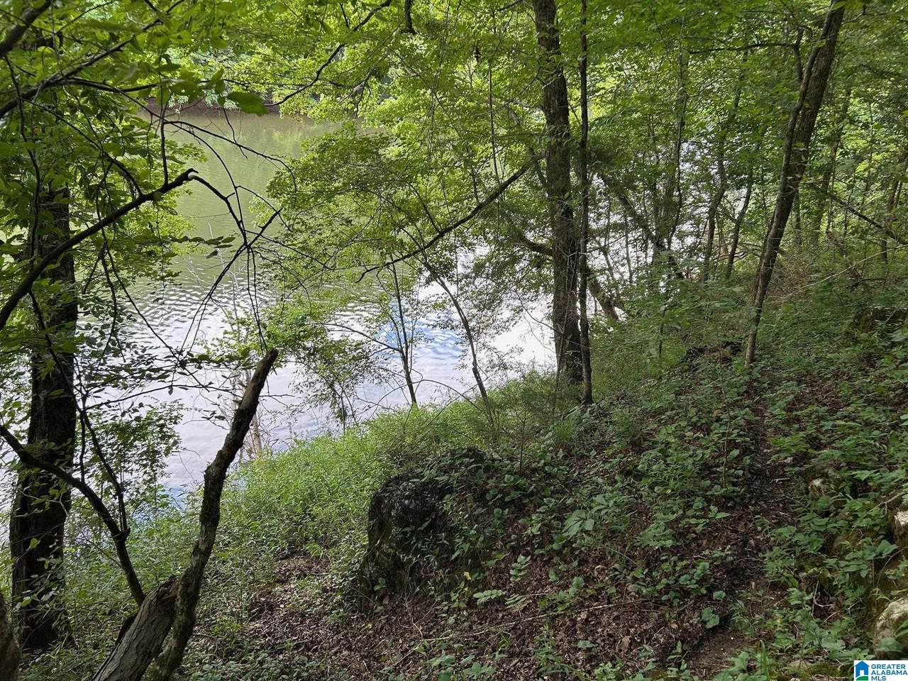 2270 Birmingham Road - Photo 1