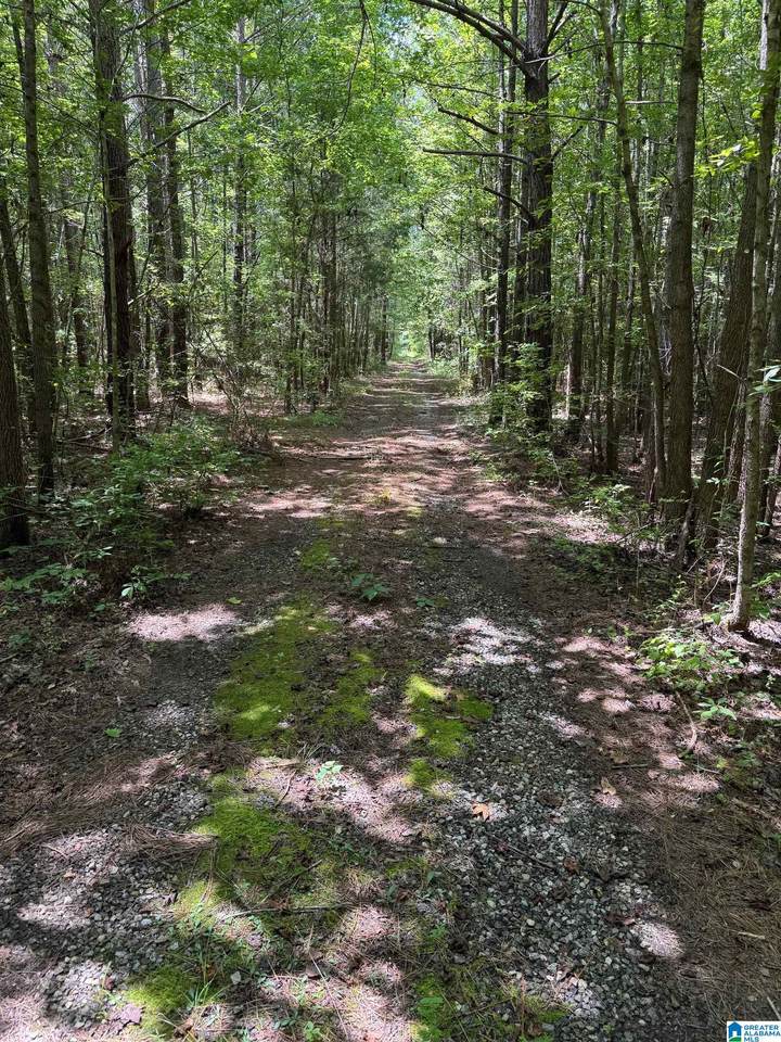 775 Concord Church Road - Photo 1