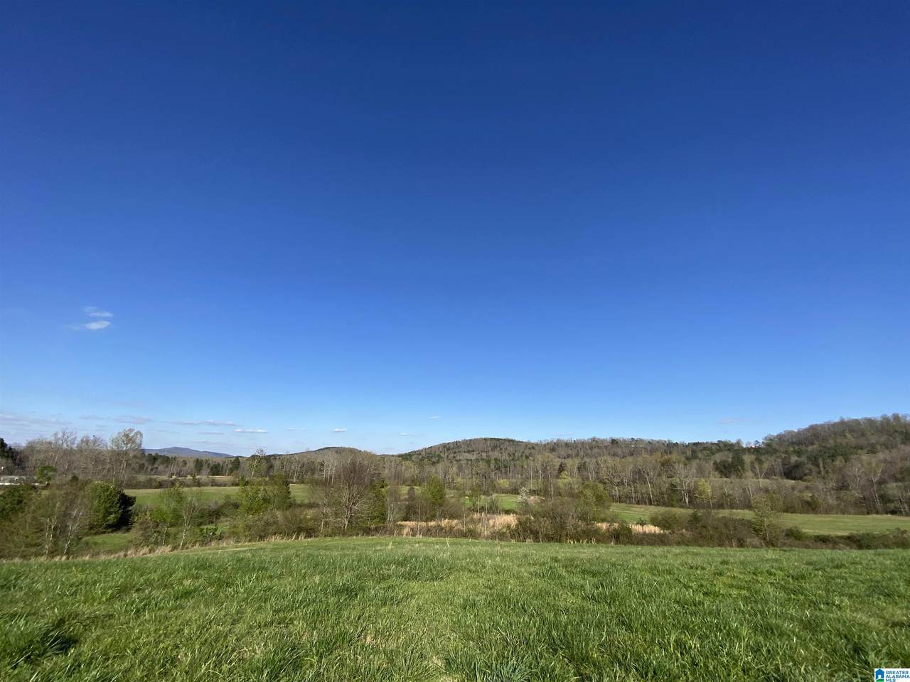 6555 Highway 174 - Photo 1