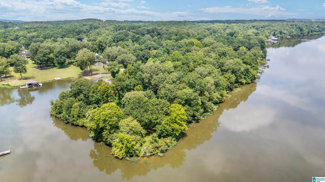 Lot 7A Hebb Road - Photo 1