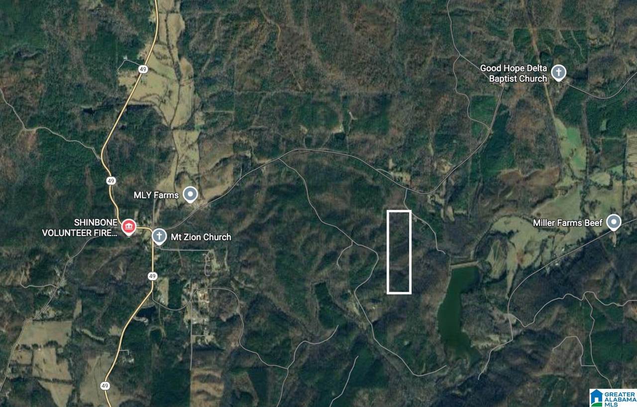 0 Crutchfield Drive - Photo 1