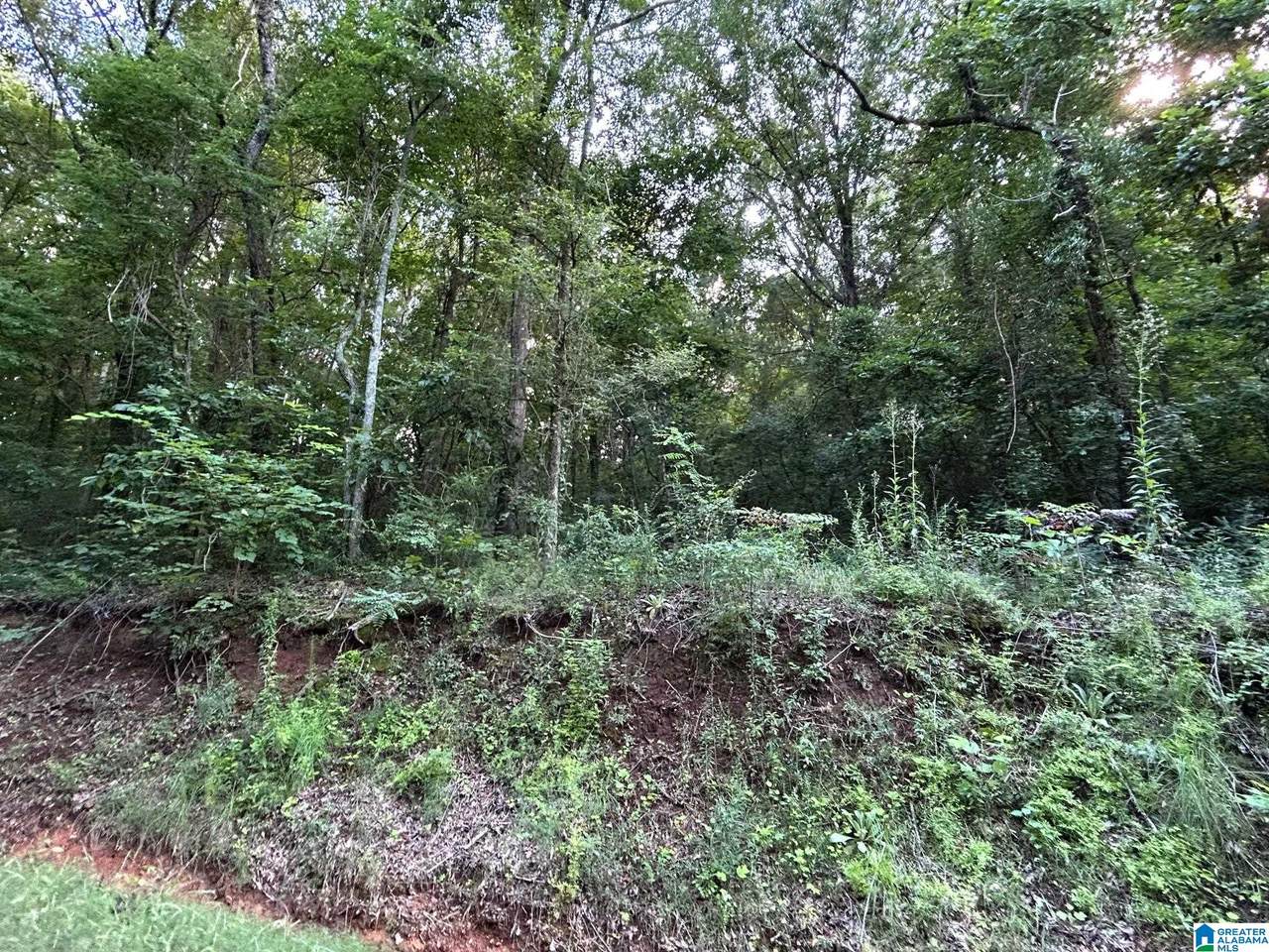 0 County Road 31 - Photo 1