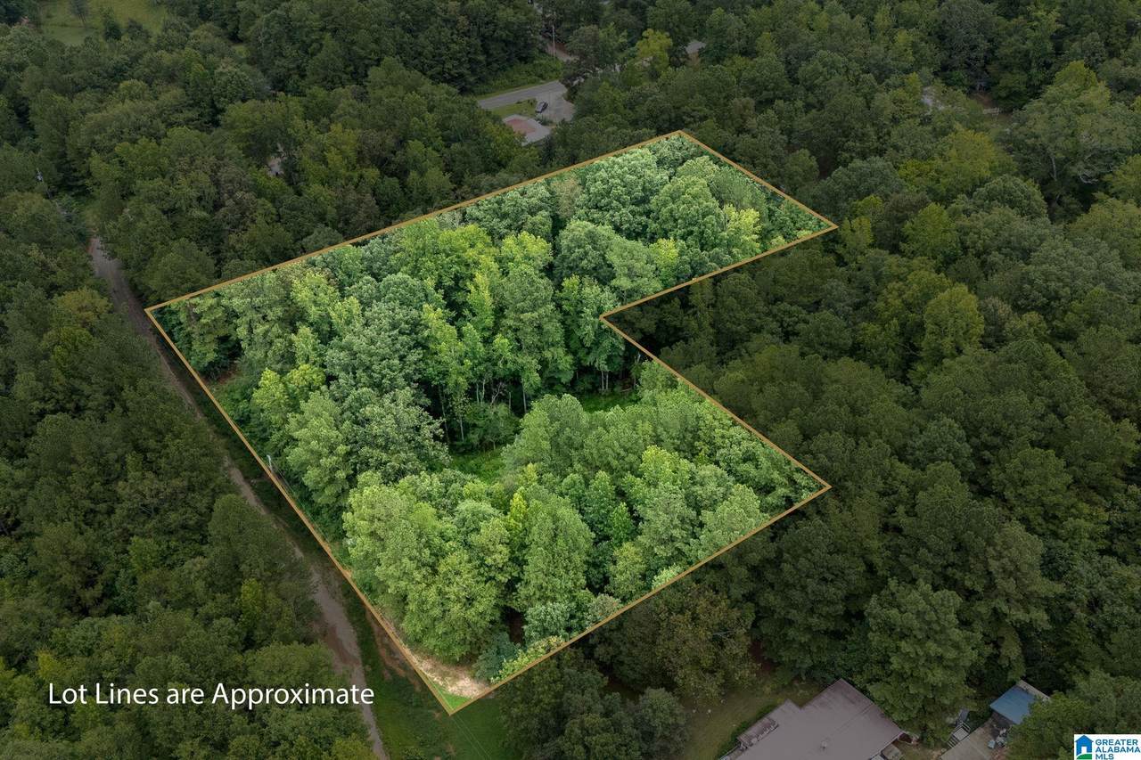 0 Penny Lane - Photo 1