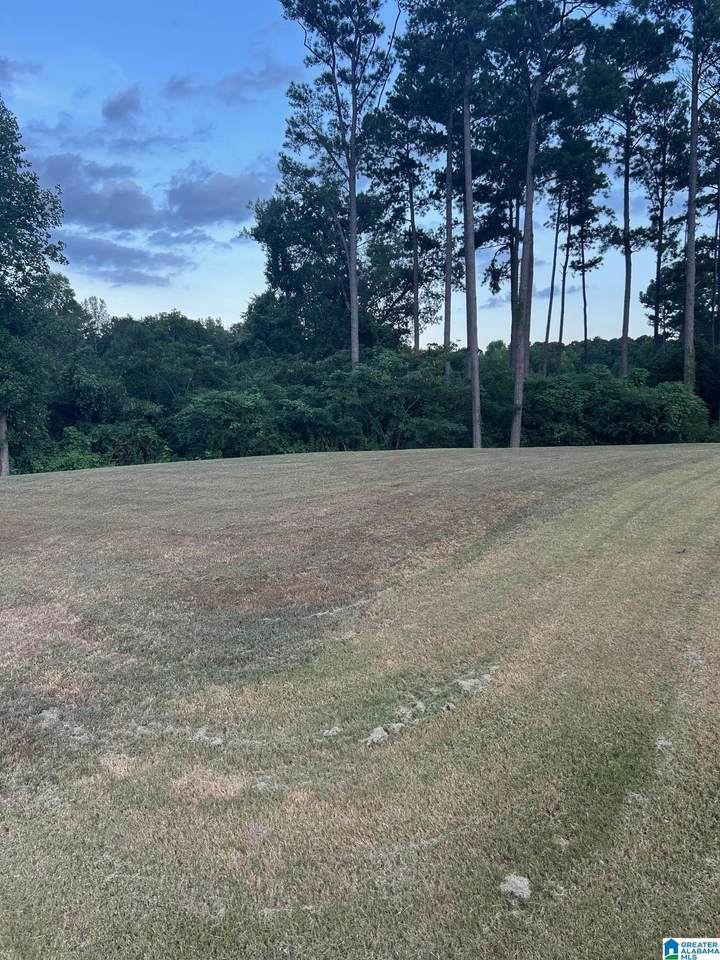 6488 William Drive - Photo 1