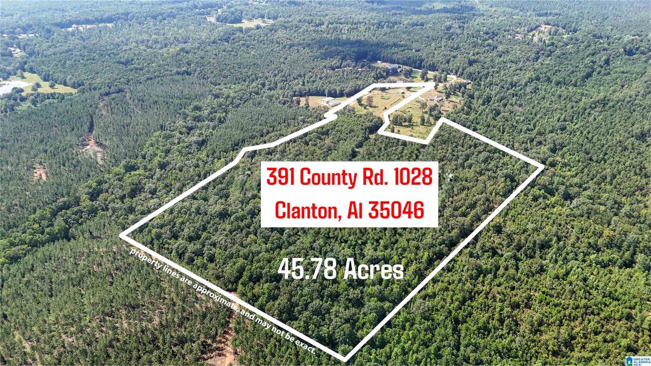 391 County Road 1028 - Photo 1