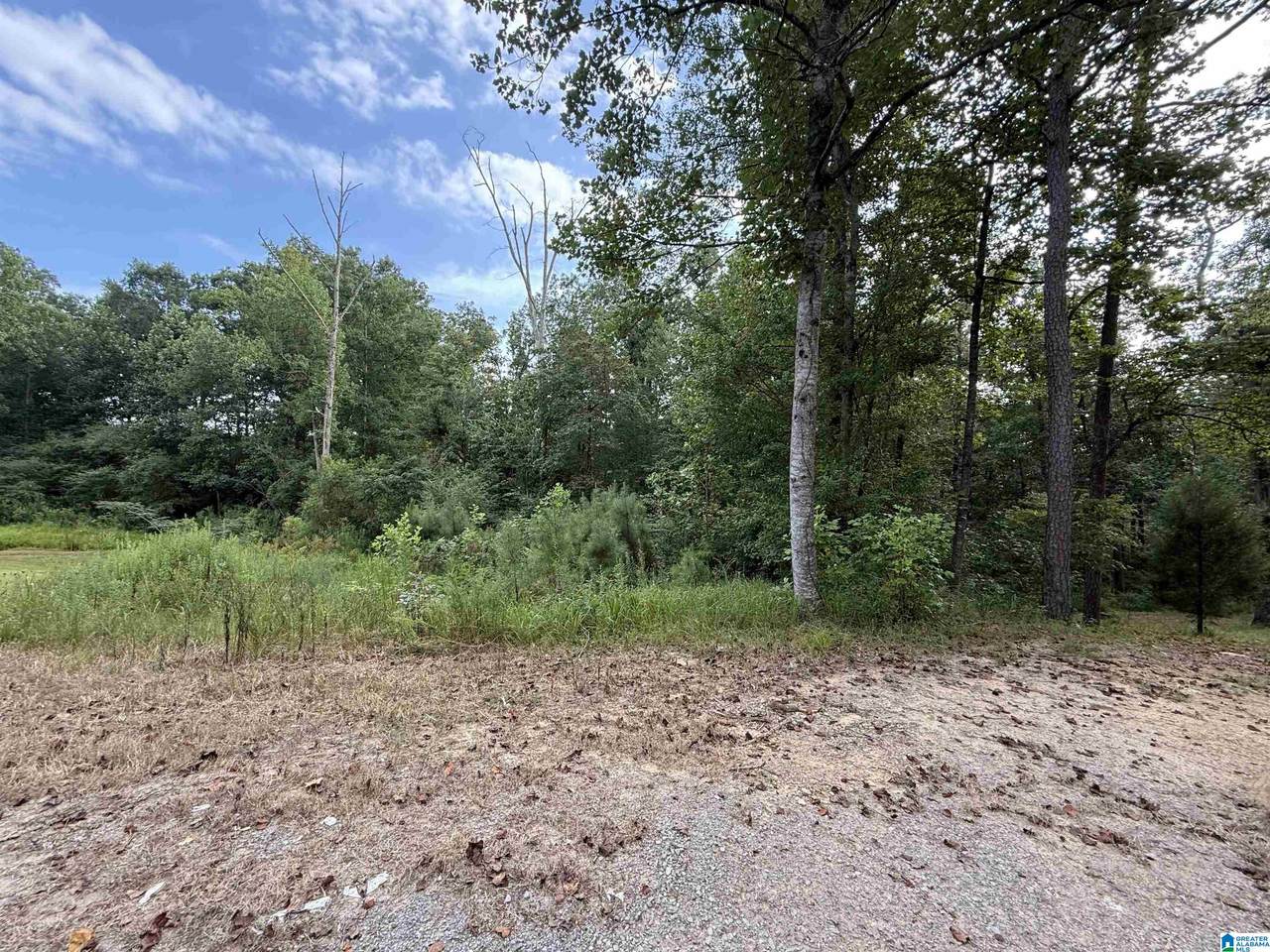 0.66AC County Road 1606 - Photo 1