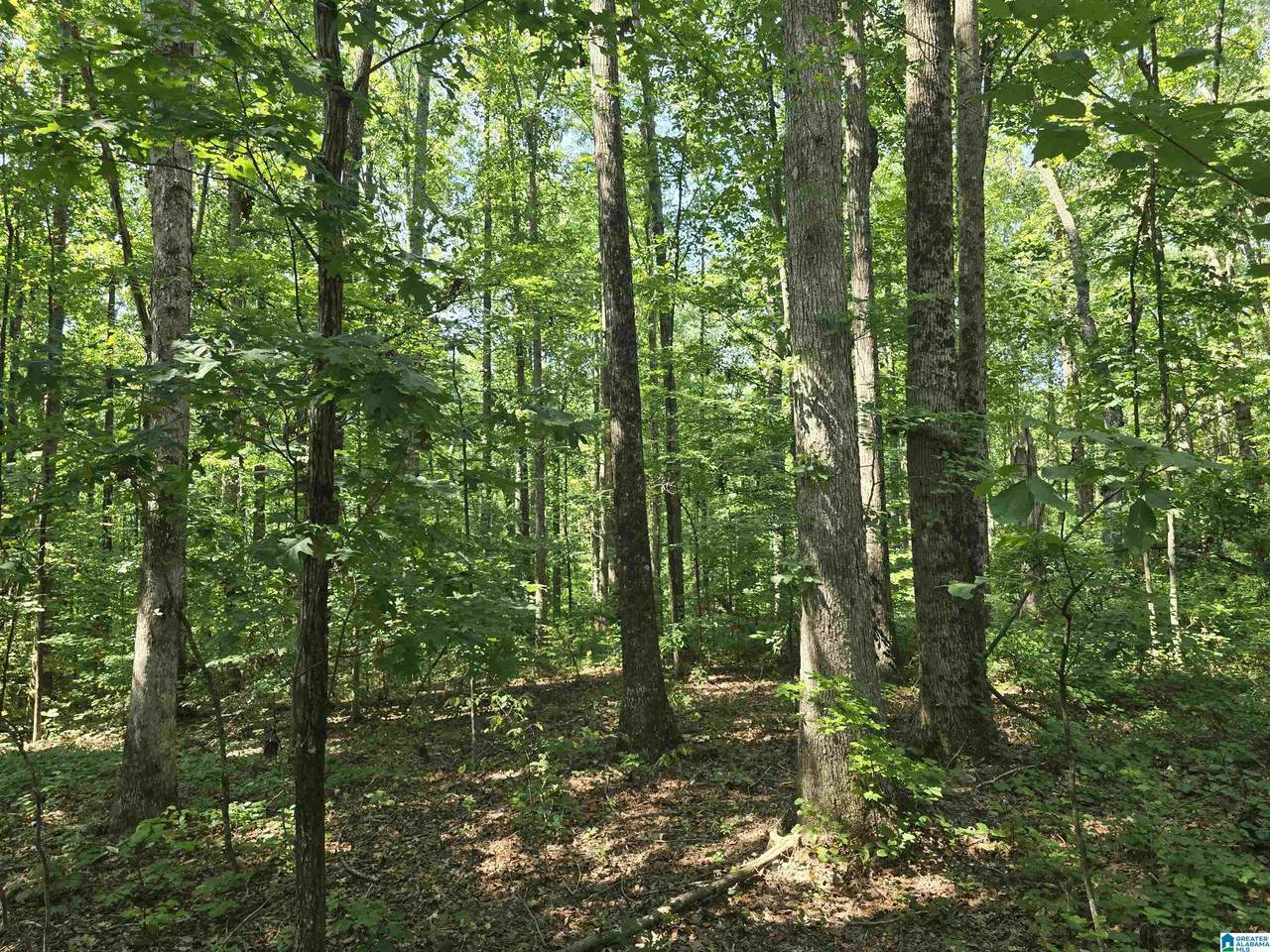 0000 County Road 31 - Photo 1