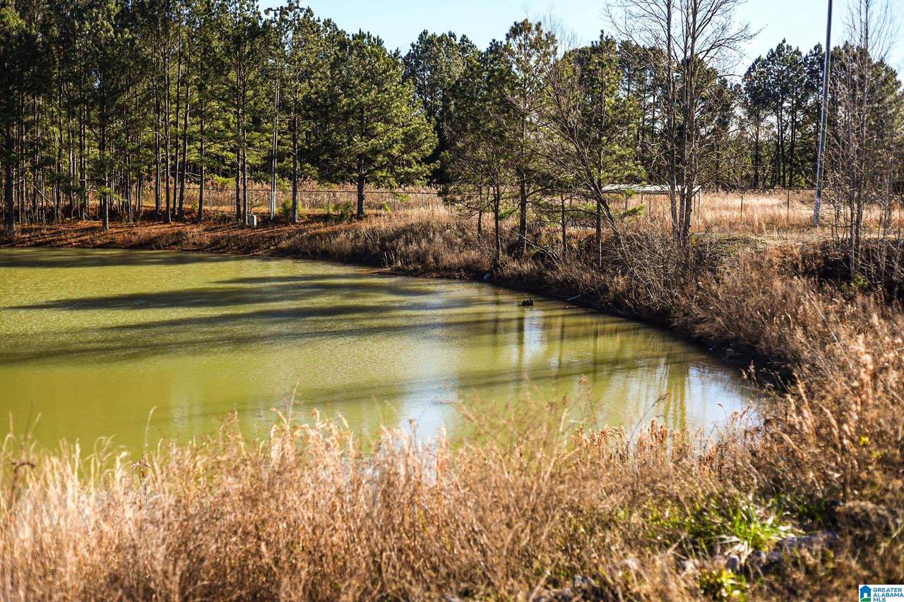 445 White Oak Drive - Photo 1