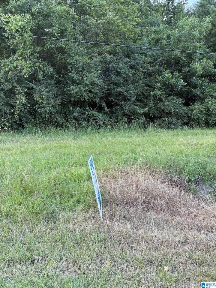 0 Main Street - Photo 1