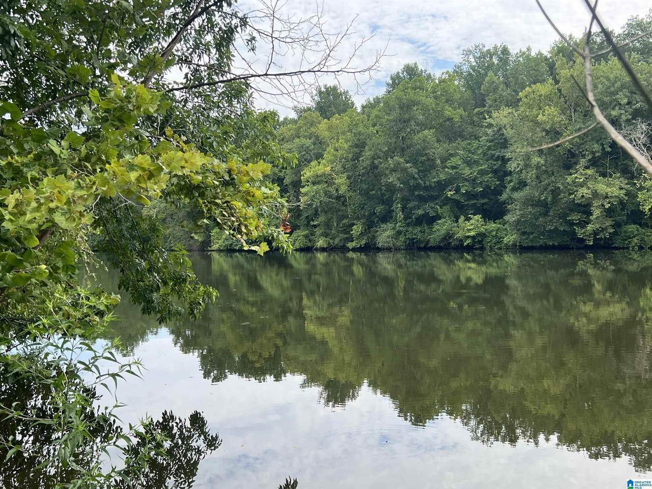 451 Percy Vines Road - Photo 1