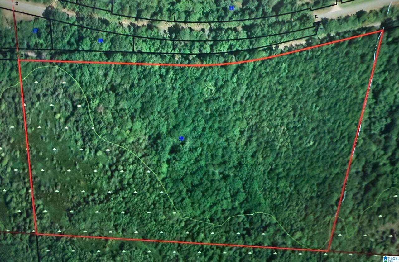 0 Fernbank Road - Photo 1