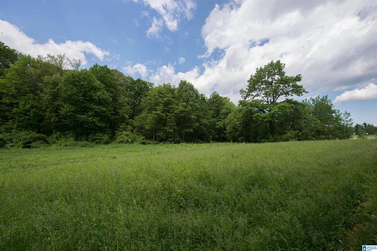 4160 Center Point Road - Photo 1
