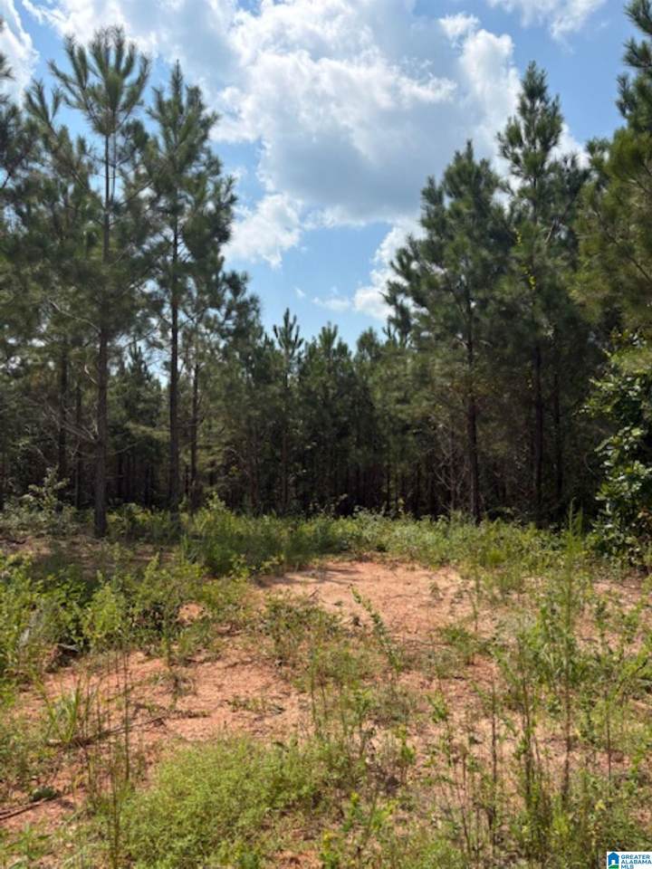  County Road 472 - Photo 1