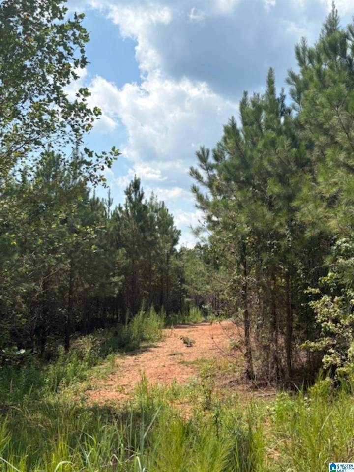  County Road 472 - Photo 1