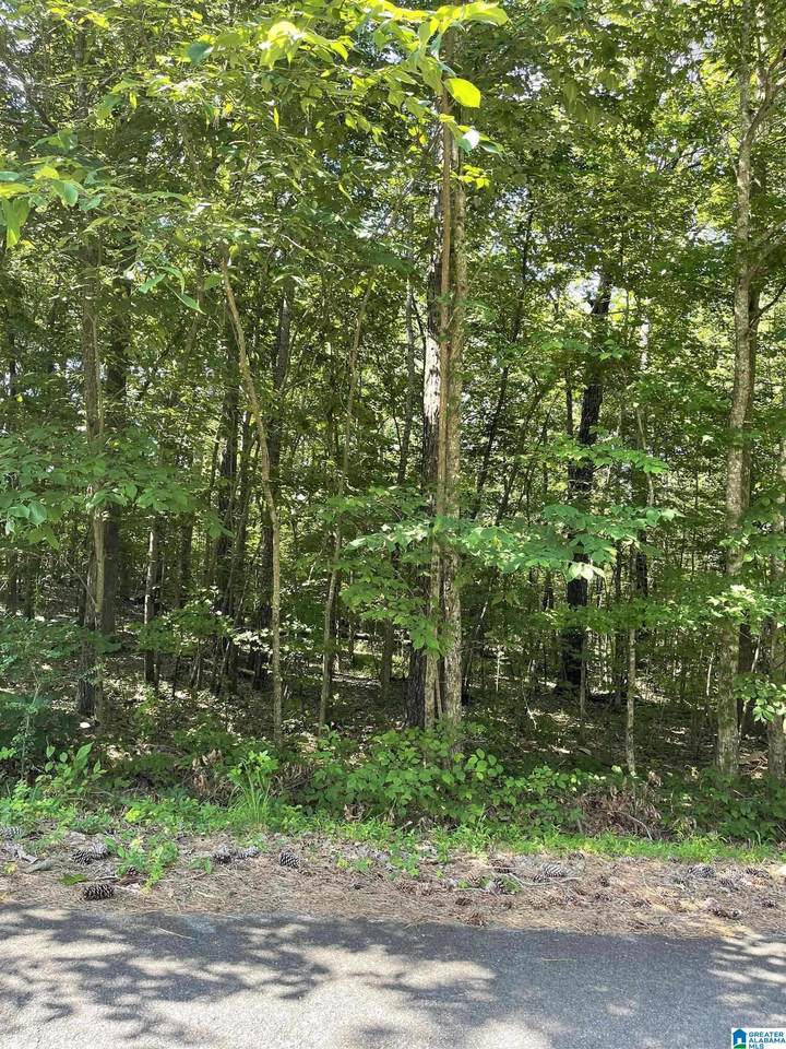 8596 Woodview Lane - Photo 1