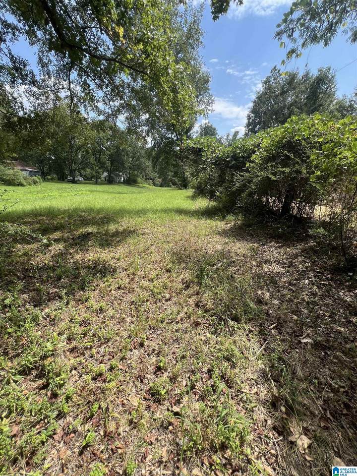 2475 County Road 228 - Photo 1