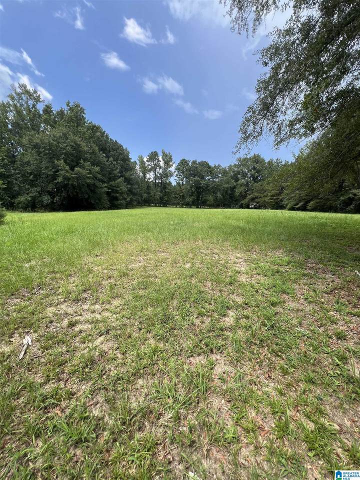 2475 County Road 228 - Photo 1