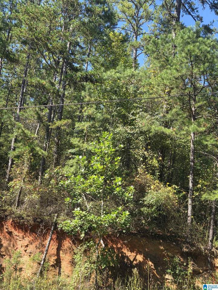  County Road 82 - Photo 1