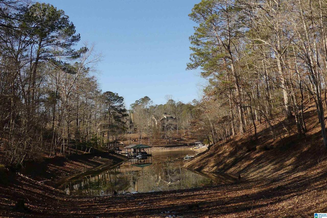 Lot 67 Blue Bird Drive - Photo 1